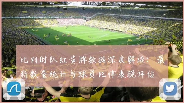比利时队红黄牌数据深度解读：最新数量统计与球员纪律表现评估