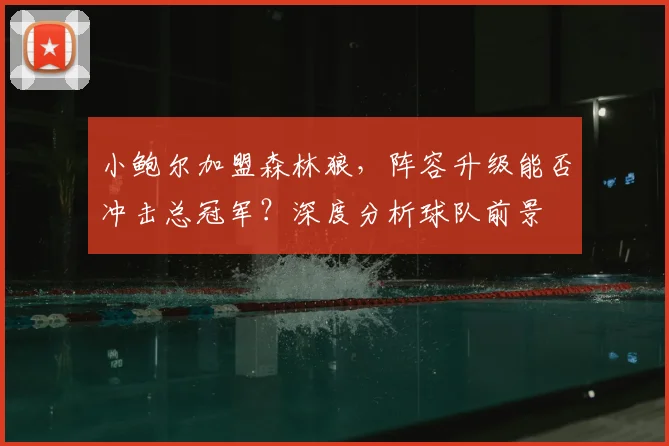 小鲍尔加盟森林狼,阵容升级能否冲击总冠军?深度分析球队前景