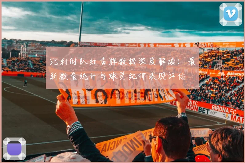比利时队红黄牌数据深度解读：最新数量统计与球员纪律表现评估