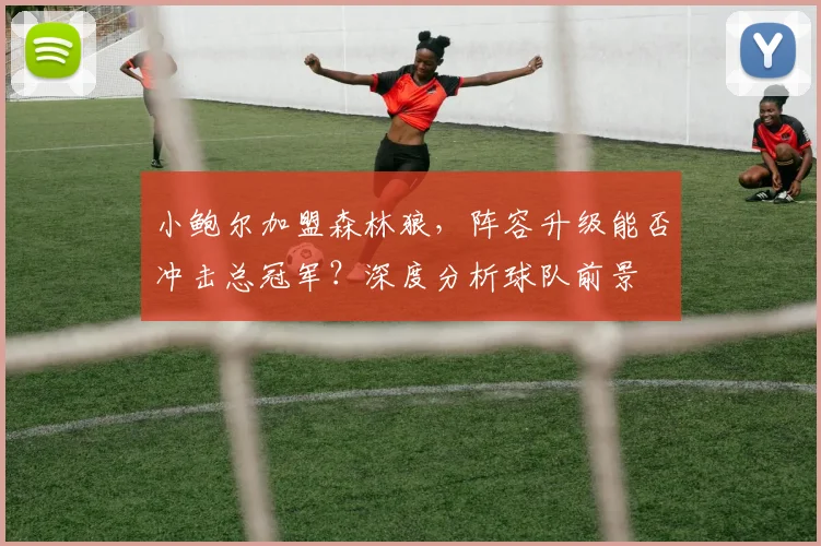 小鲍尔加盟森林狼,阵容升级能否冲击总冠军?深度分析球队前景